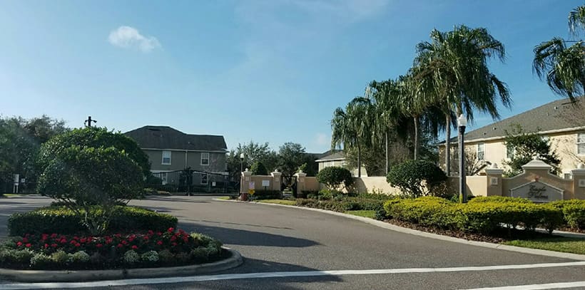 Eagle Palms