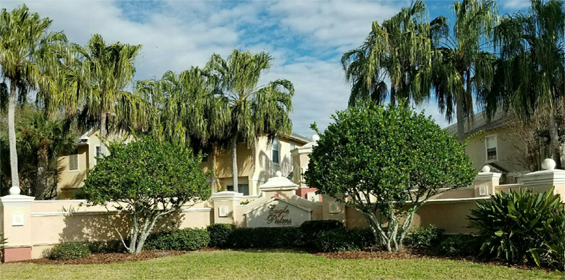 Eagle Palms